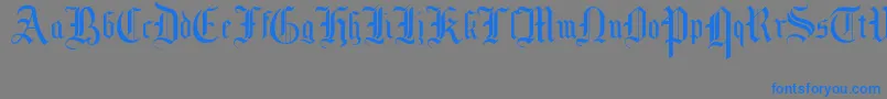 MottisfontNo1-Schriftart – Blaue Schriften auf grauem Hintergrund