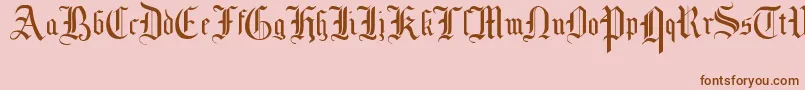 fuente MottisfontNo1 – Fuentes Marrones Sobre Fondo Rosa