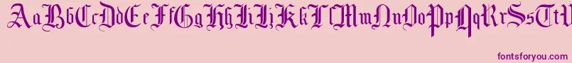 MottisfontNo1 Font – Purple Fonts on Pink Background