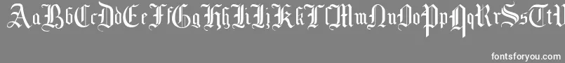 フォントMottisfontNo1 – 灰色の背景に白い文字