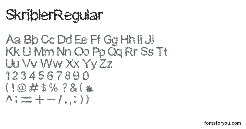 Czcionka SkriblerRegular – alfabet, cyfry, specjalne znaki