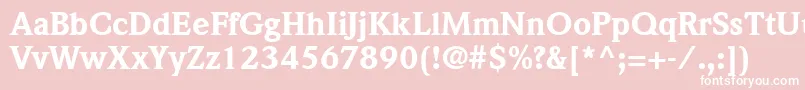 ItcWeidemannLtBlack Font – White Fonts on Pink Background