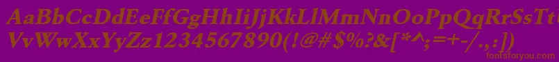 UrwgaramondtextbolwidOblique Font – Brown Fonts on Purple Background