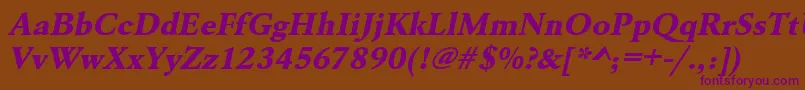 UrwgaramondtextbolwidOblique Font – Purple Fonts on Brown Background