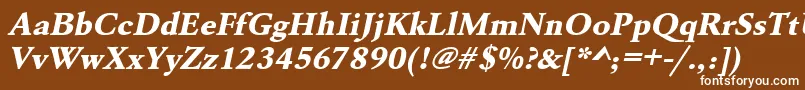 フォントUrwgaramondtextbolwidOblique – 茶色の背景に白い文字