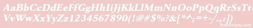 UrwgaramondtextbolwidOblique Font – White Fonts on Pink Background