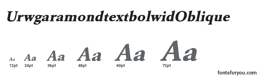 Размеры шрифта UrwgaramondtextbolwidOblique