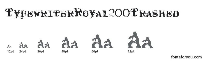 Размеры шрифта TypewriterRoyal200Trashed