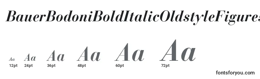 BauerBodoniBoldItalicOldstyleFigures Font Sizes