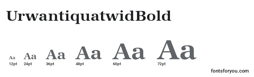 Размеры шрифта UrwantiquatwidBold