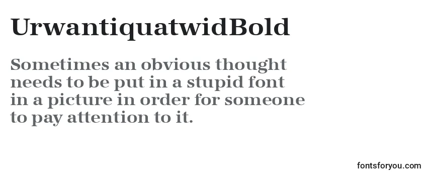 Review of the UrwantiquatwidBold Font