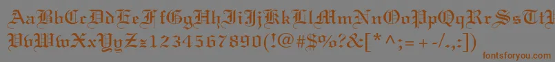 フォントLinotextstd – 茶色の文字が灰色の背景にあります。