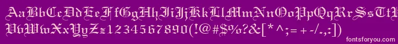 Linotextstd Font – Pink Fonts on Purple Background