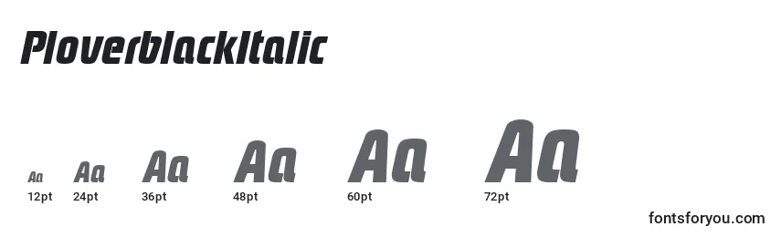 Размеры шрифта PloverblackItalic