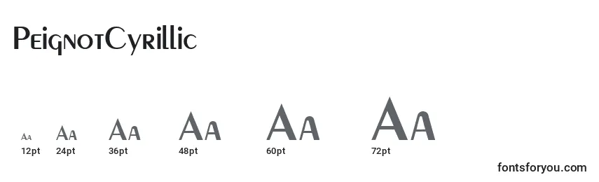 PeignotCyrillic Font Sizes