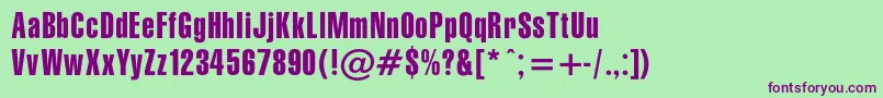 Gymnasiac Font – Purple Fonts on Green Background