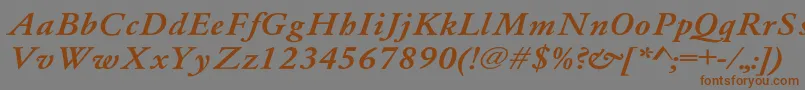 Whittiedmediu4 Font – Brown Fonts on Gray Background