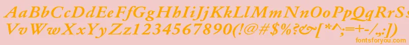 Whittiedmediu4 Font – Orange Fonts on Pink Background