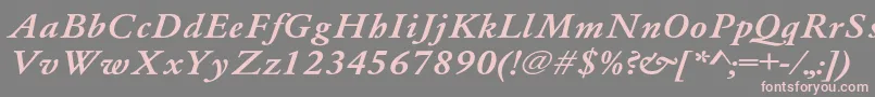 Whittiedmediu4 Font – Pink Fonts on Gray Background