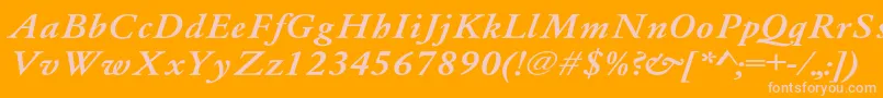 Whittiedmediu4 Font – Pink Fonts on Orange Background