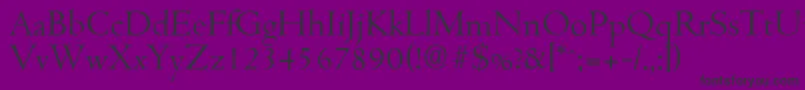 CambridgeserialLightRegular Font – Black Fonts on Purple Background