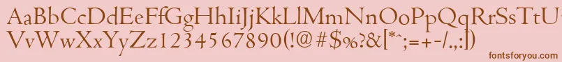 CambridgeserialLightRegular Font – Brown Fonts on Pink Background