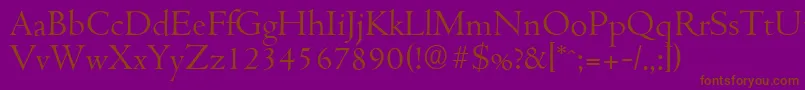 CambridgeserialLightRegular Font – Brown Fonts on Purple Background