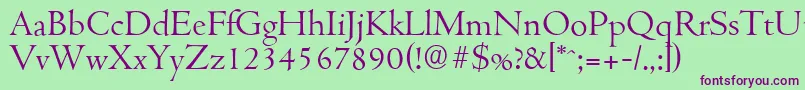 CambridgeserialLightRegular Font – Purple Fonts on Green Background