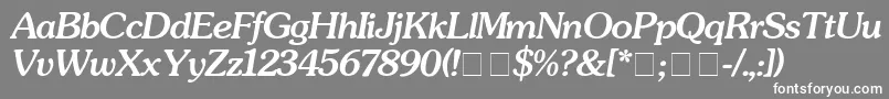 SouvenirMediumitalic Font – White Fonts on Gray Background