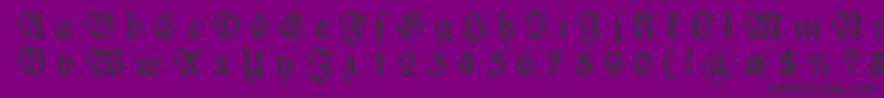 WieynckfrakturGesperrtunz1l Font – Black Fonts on Purple Background