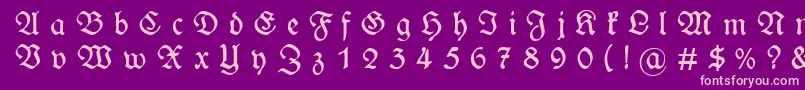 WieynckfrakturGesperrtunz1l Font – Pink Fonts on Purple Background