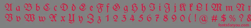 WieynckfrakturGesperrtunz1l Font – Red Fonts on Gray Background