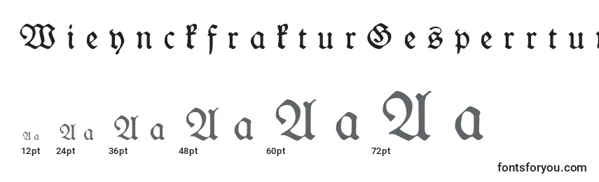 Размеры шрифта WieynckfrakturGesperrtunz1l