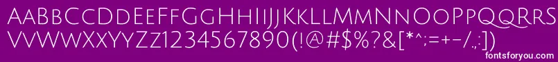 JuliussansoneRegular Font – White Fonts on Purple Background