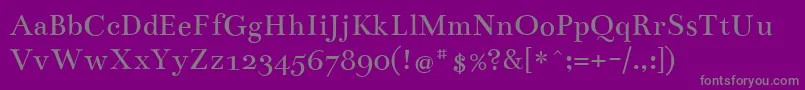 En savoir plus sur la police BenthamRegular Police BenthamRegular – polices grises sur fond violet