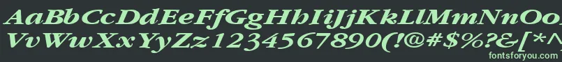 フォントGarnetbroadBoldItalic – 黒い背景に緑の文字