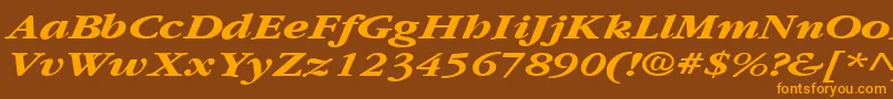 Czcionka GarnetbroadBoldItalic – pomarańczowe czcionki na brązowym tle