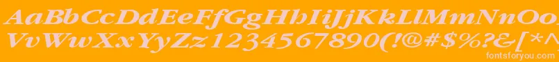 Fonte GarnetbroadBoldItalic – fontes rosa em um fundo laranja