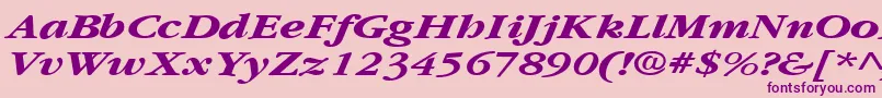 Police GarnetbroadBoldItalic – polices violettes sur fond rose