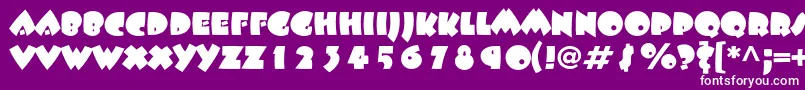 Beeskneesstd Font – White Fonts on Purple Background