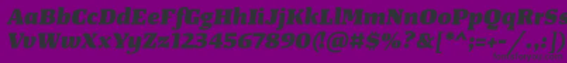 Czcionka TangerserifwideHeavyitalic – czarne czcionki na fioletowym tle