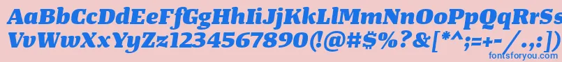 TangerserifwideHeavyitalic Font – Blue Fonts on Pink Background