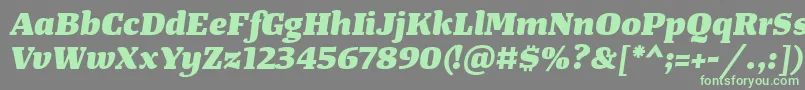 TangerserifwideHeavyitalic Font – Green Fonts on Gray Background