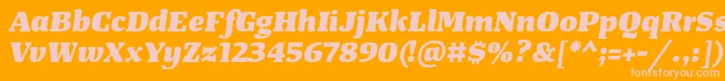 TangerserifwideHeavyitalic Font – Pink Fonts on Orange Background