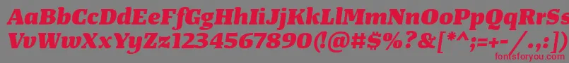 TangerserifwideHeavyitalic-Schriftart – Rote Schriften auf grauem Hintergrund