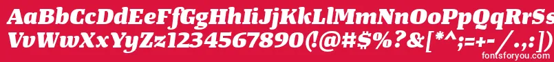 TangerserifwideHeavyitalic Font – White Fonts on Red Background