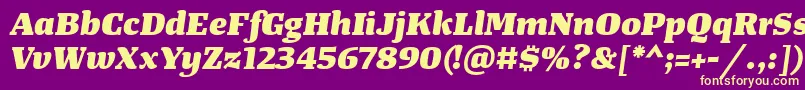 TangerserifwideHeavyitalic Font – Yellow Fonts on Purple Background