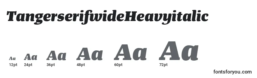 TangerserifwideHeavyitalic Font Sizes