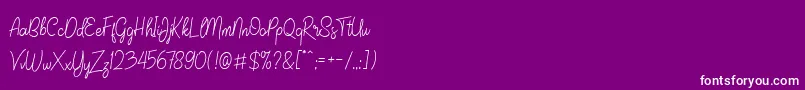 JaliscoDemo Font – White Fonts on Purple Background