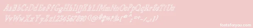 BiscuitMadeItalic-Schriftart – Weiße Schriften auf rosa Hintergrund